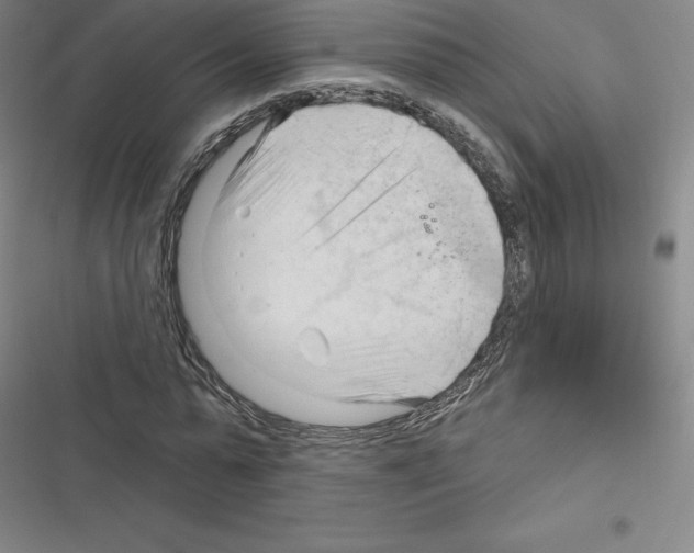 X0000116300775201001111116