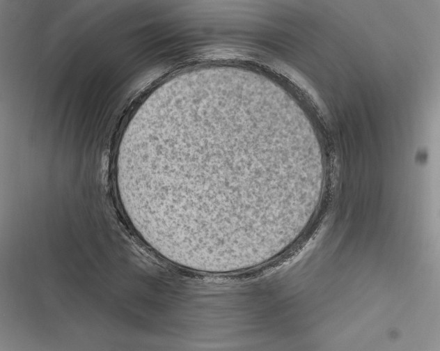 X0000116300777201001111116