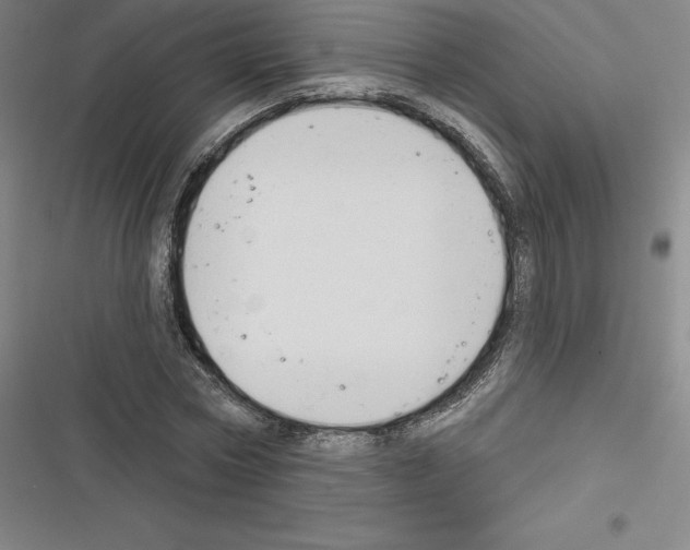 X0000116300778201001111116