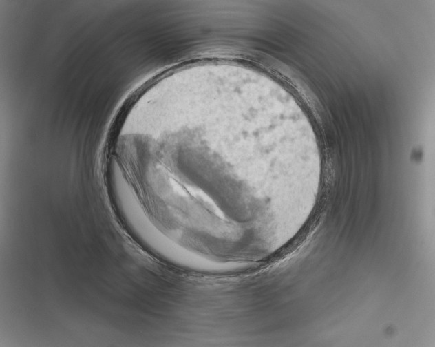 X0000116300779201001111116