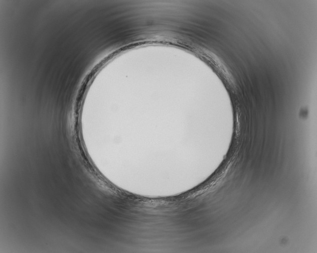 X0000116300780201001111116