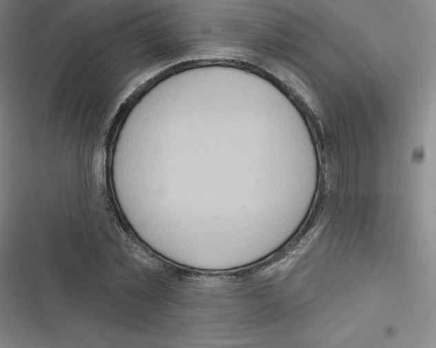 X0000116300781201001111116