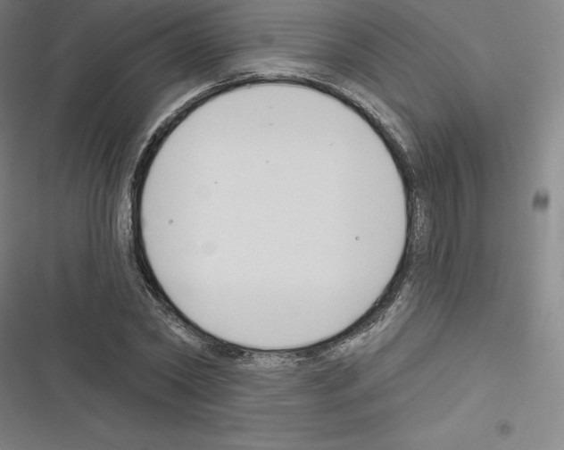 X0000116300782201001111116