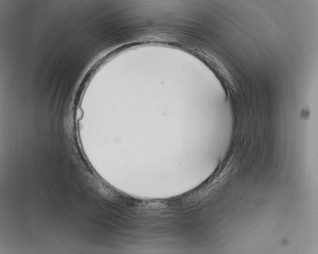 X0000116300784201001111116