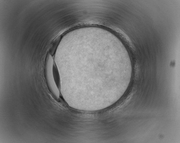 X0000116300785201001111116