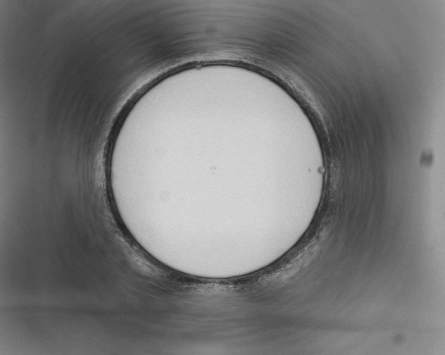 X0000116300789201001111116