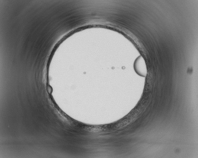 X0000116300791201001111116