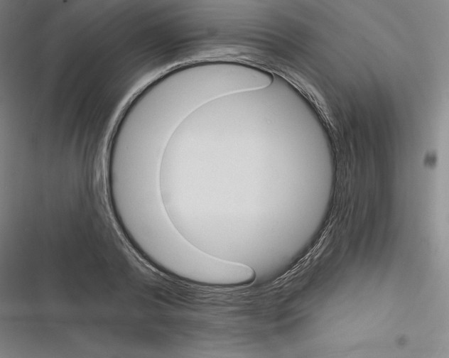 X0000116300792201001111116