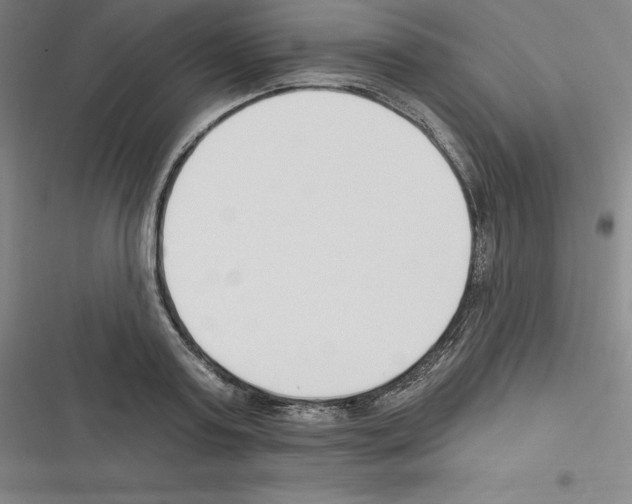 X0000116300795201001111116