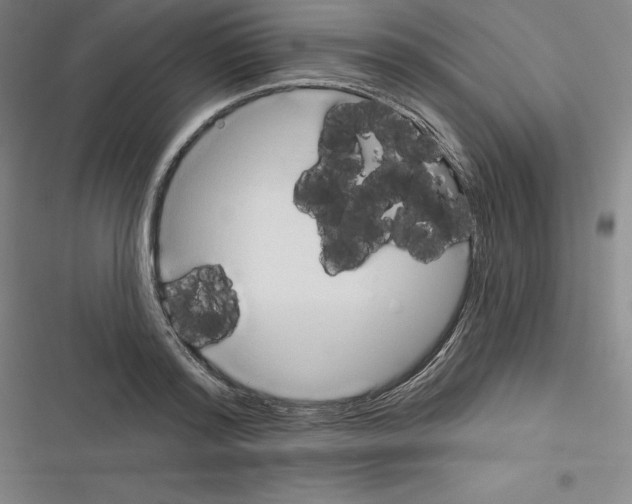 X0000116300796201001111116