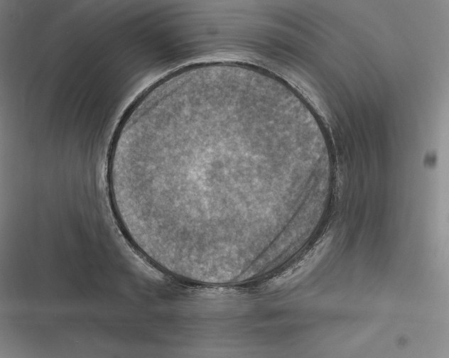 X0000116300797201001111116