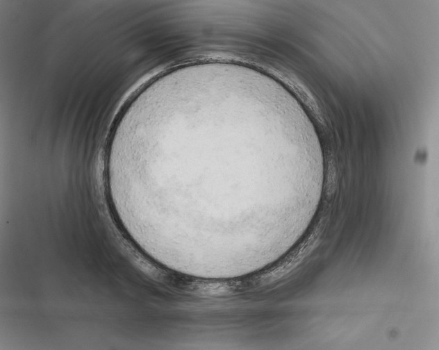 X0000116300798201001111116