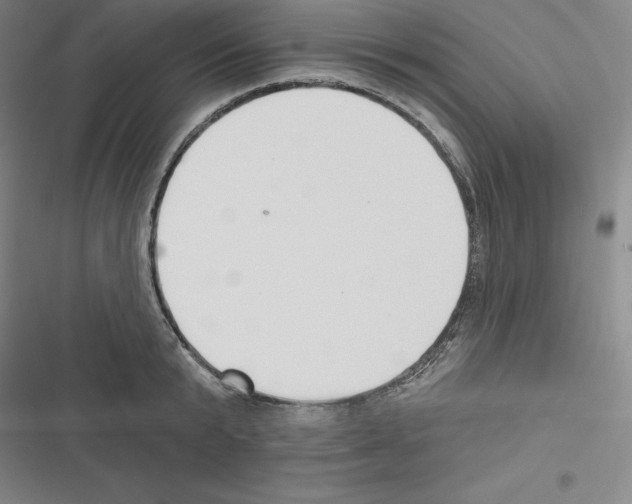 X0000116300799201001111116