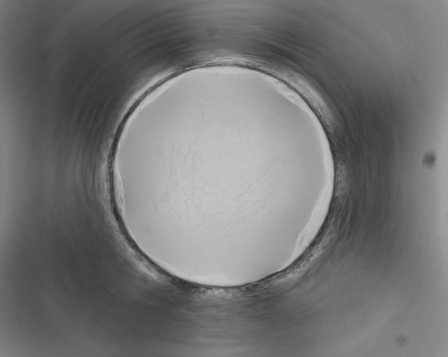 X0000116300806201001111116