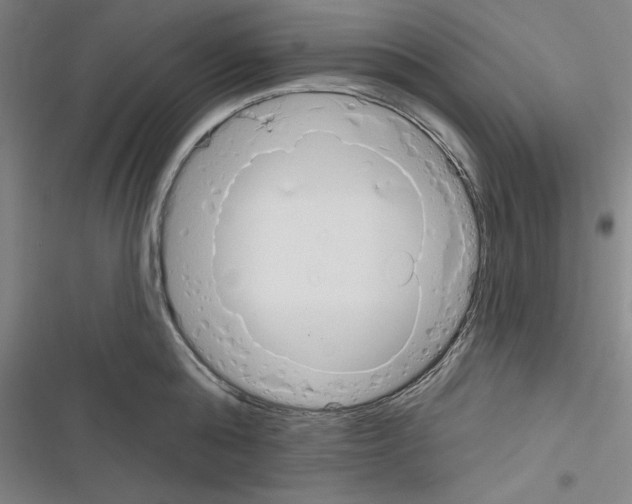 X0000116300808201001111116