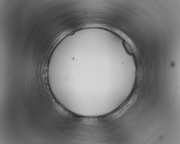 X0000116300809201001111116