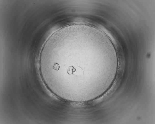 X0000116300810201001111116