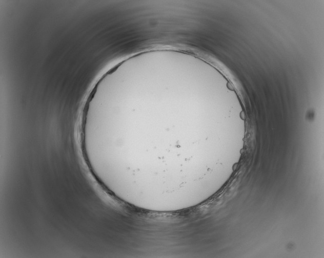 X0000116300811201001111116