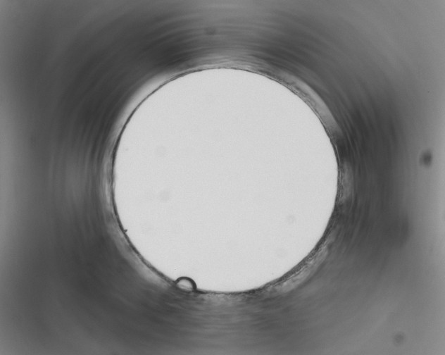 X0000116300812201001111116