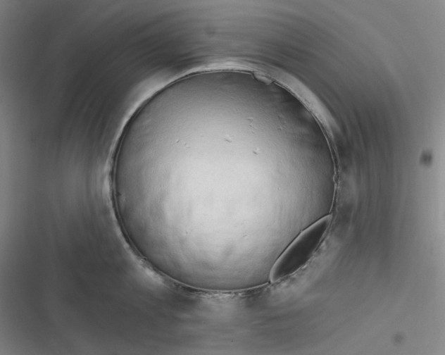 X0000116300813201001111116