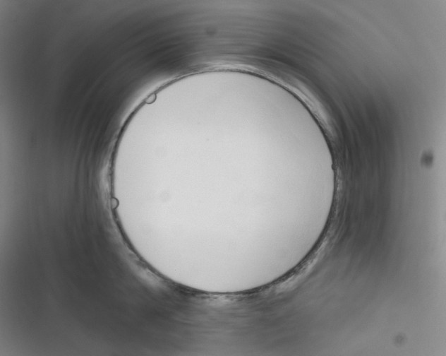 X0000116300814201001111116