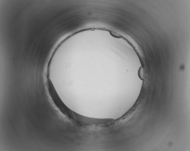 X0000116300815201001111116