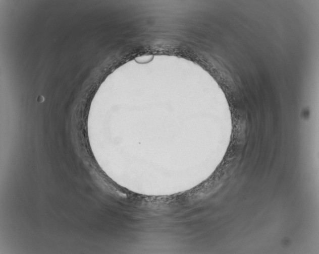 X0000116300817201001111115