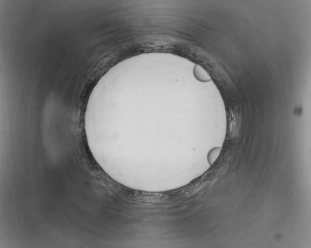 X0000116300819201001111115