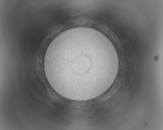 X0000116300820201001111115