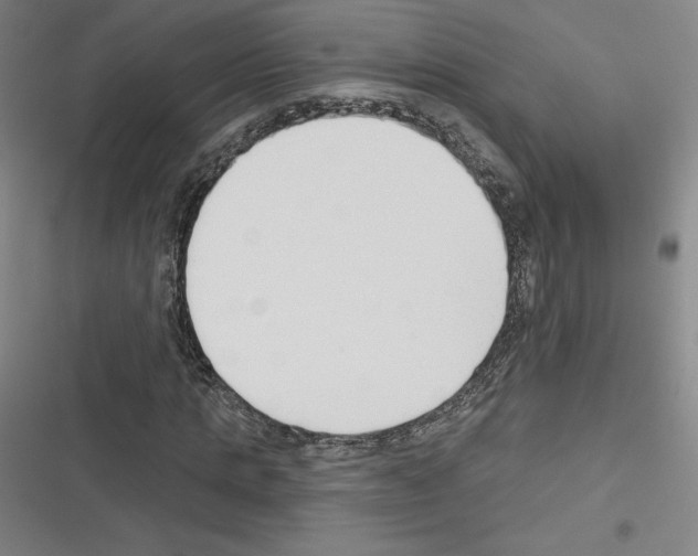 X0000116300821201001111115