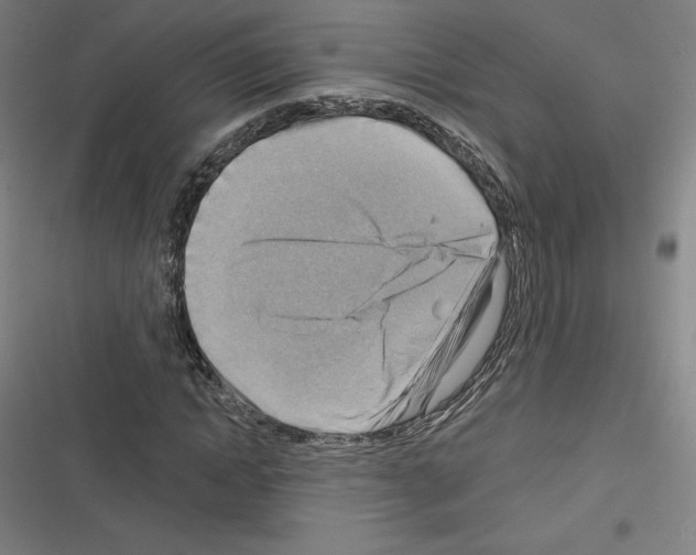 X0000116300822201001111115