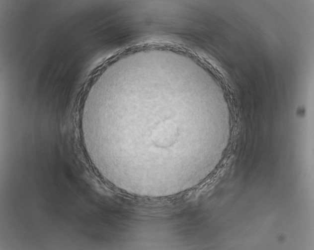 X0000116300824201001111115