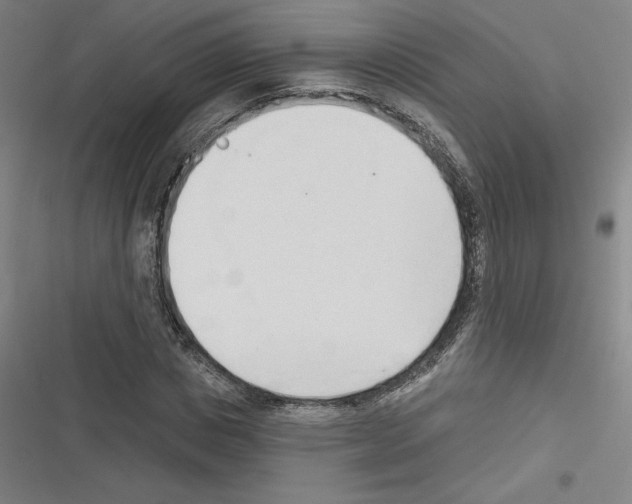 X0000116300825201001111115