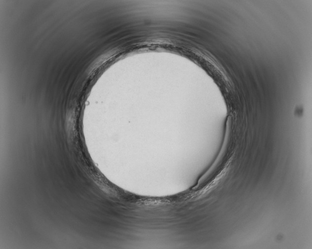 X0000116300826201001111115