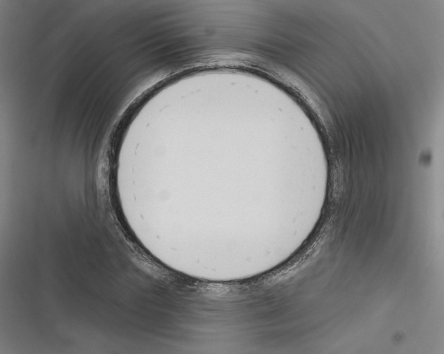 X0000116300827201001111115