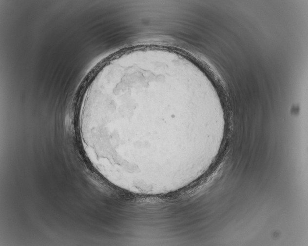 X0000116300830201001111115