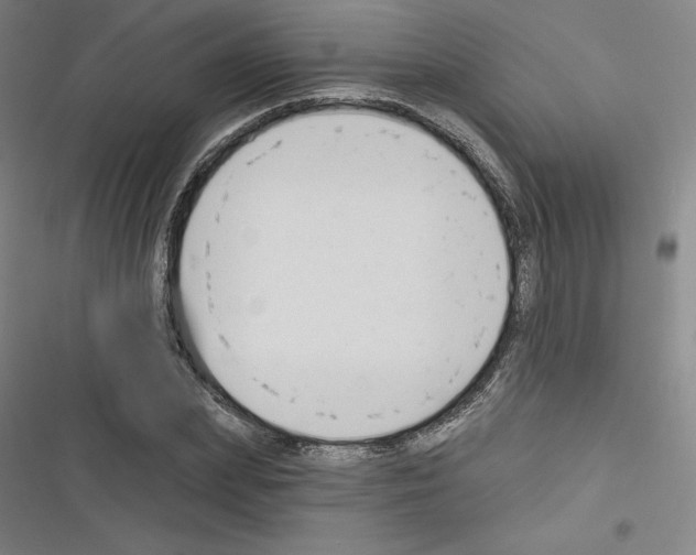 X0000116300831201001111115