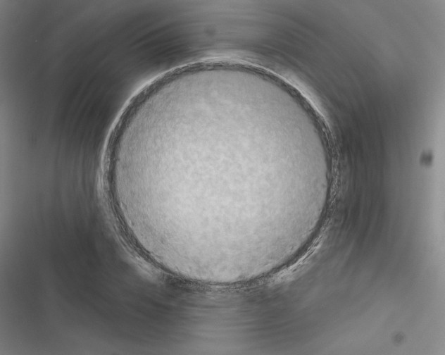 X0000116300832201001111115