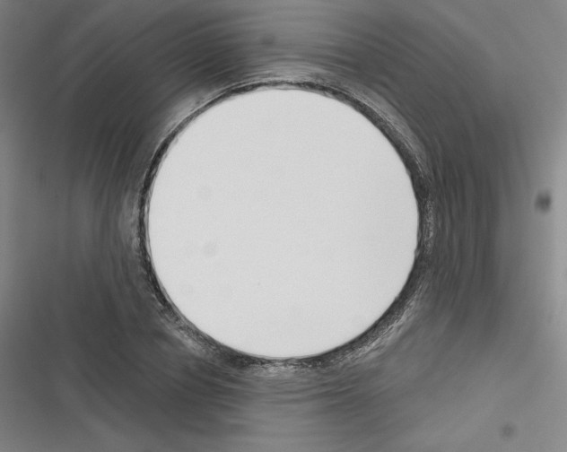 X0000116300834201001111115