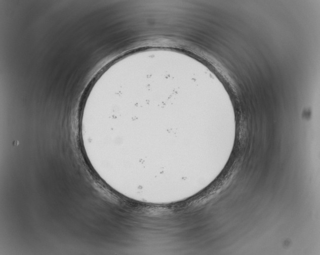 X0000116300837201001111116