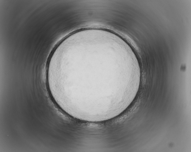 X0000116300839201001111116