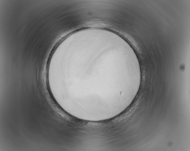 X0000116300840201001111116