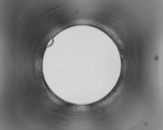 X0000116300841201001111116