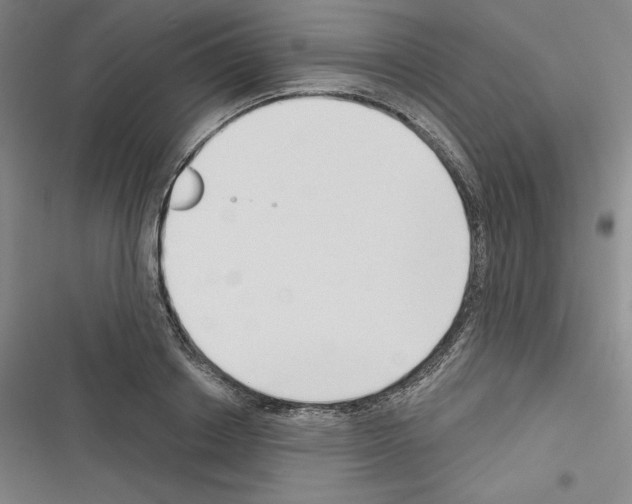 X0000116300842201001111116