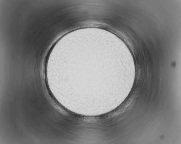 X0000116300843201001111116