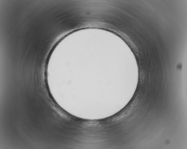 X0000116300846201001111116