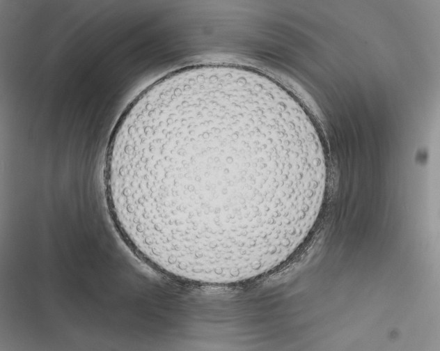 X0000116300847201001111116