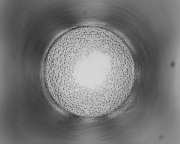 X0000116300848201001111116