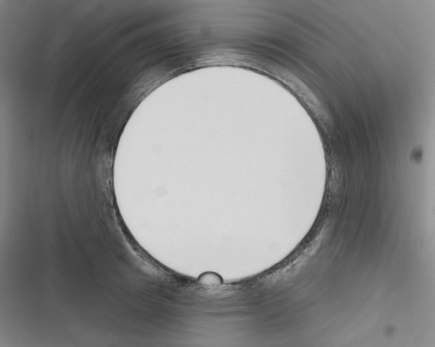 X0000116300849201001111116