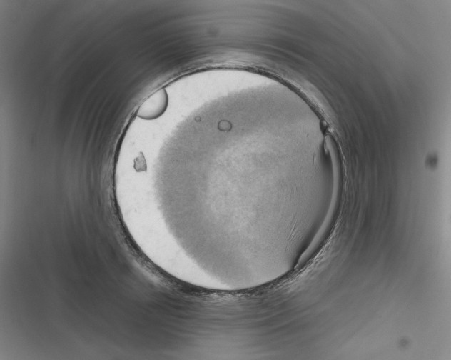 X0000116300850201001111116